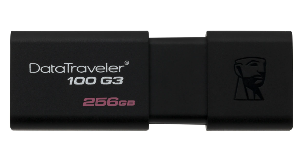 Kingston DataTraveler 100 G3 (DT100G3/256GB) flash memorija 256GB USB 3.0