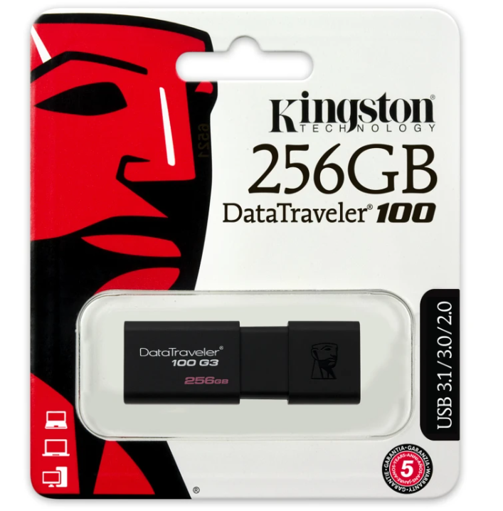 Kingston DataTraveler 100 G3 (DT100G3/256GB) flash memorija 256GB USB 3.0