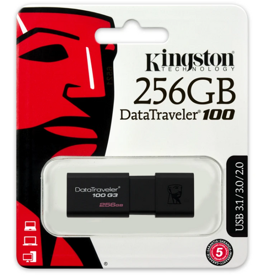 Kingston DataTraveler 100 G3 (DT100G3/256GB) flash memorija 256GB USB 3.0